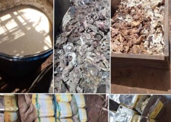 ضبط مصنع عشوائي يصنع السمن والزيوت من الحيوانات النافقة