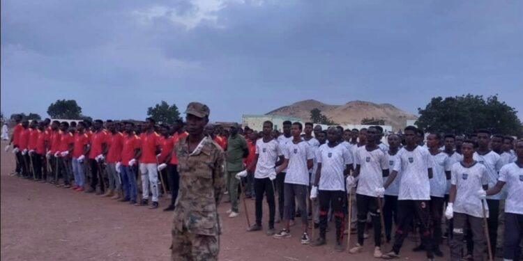 ولاية النيل الأبيض تُخريج دفعة من الشباب المستنفرين