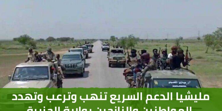 مليشيا الدعم السريع تنهب وترعب وتهدد المواطنين والنازحين بولاية الجزيرة