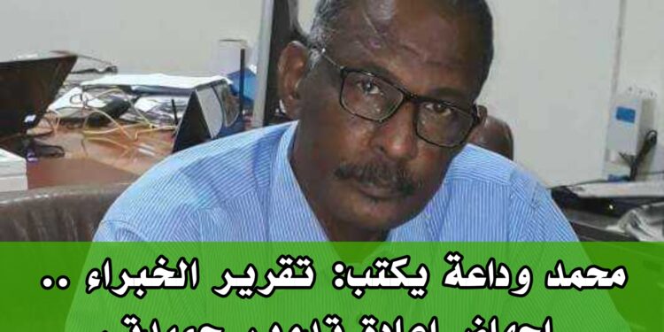 محمد وداعة يكتب: تقرير الخبراء .. إجهاض إعادة تدوير حميدتى