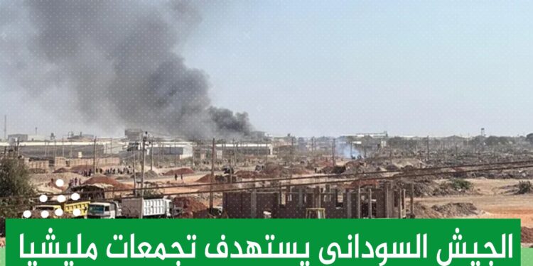 مليشيا الدعم السريع تواصل إنتهاكاتها بالجزيرة وتقتل “20” شاباً بقرية الشريف مختار