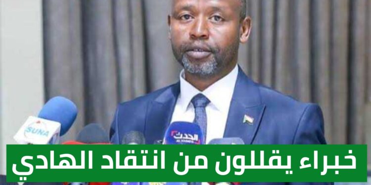 خبراء يقللون من انتقاد الهادي إدريس لقرار الحكومة السودانية وموافقة الأمم المتحدة حول مسارات الاغاثة