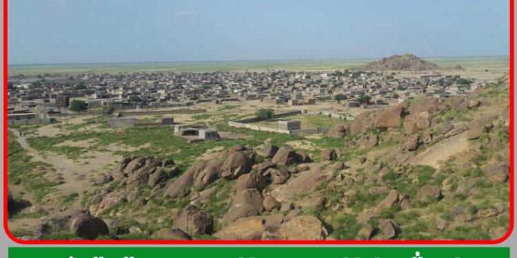 تنسيقية المحاميد ترحب بادانة أبناء الرزيقات لمليشيا الدعم السريع ووقوفهم مع القوات المسلحة