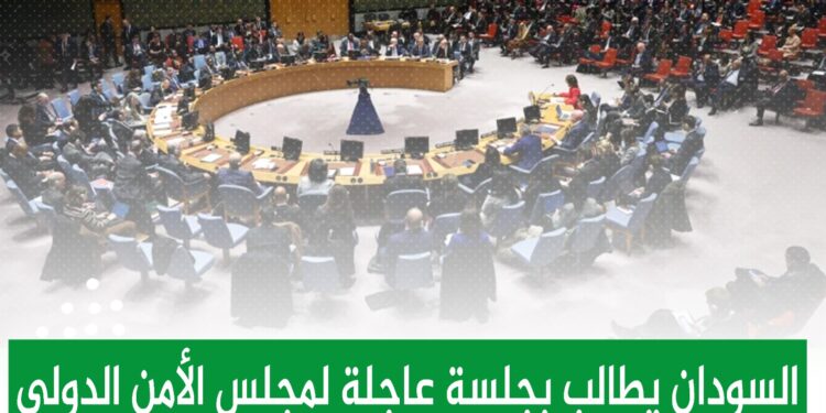 بلاغات جنائية في مواجهة أكثر من (200) متعاون مع مليشيا الدعم السريع