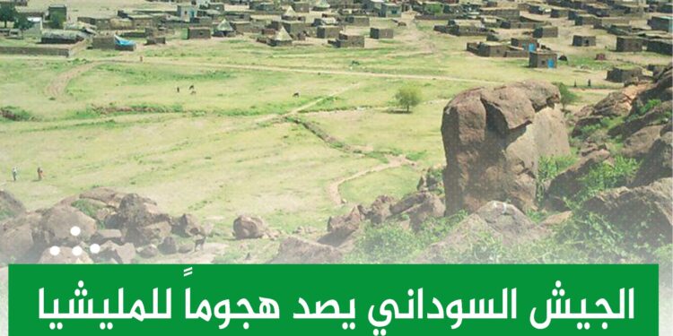 الجيش السوداني يصد هجوماً للمليشيا المتمردة بمنطقة جبل موية