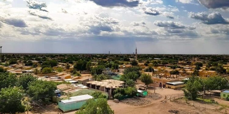 القبض علي “252” أجنبي بدون أوراق ثبوتية في حلفا الجديدة