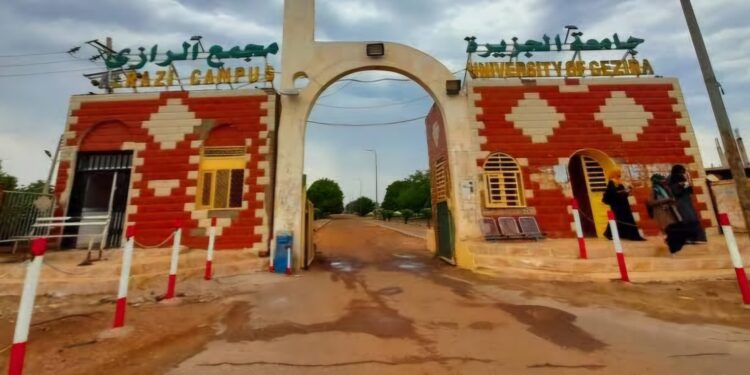 مليشيا الدعم السريع الإرهابية تنهب وتخرب المعدات الطبية بكلية الطب بجامعة الجزيرة