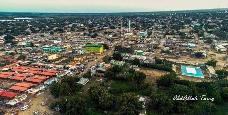 مجلس نظار ولاية سنار يُندد بممارسات مليشيا الدعم السريع تجاه المواطنين العزل