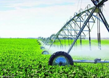 تقرير: المنظمة العربية للتنمية الزراعية تحذر من تدمير القطاع الزراعي في السودان وتأثيره على الأمن الغذائي العالمي