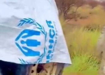 الخارجية السودانية تطلب توضيحات بشأن استخدام مليشيا الدعم السريع لمواد إيواء تخص “منظمة أممية”