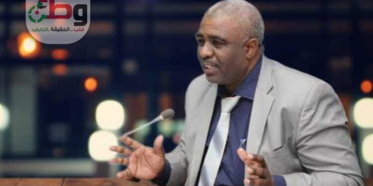 إبراهيم شقلاوي يكتب: السودان و الصين الإسناد الدفاعي و شراكة التنمية