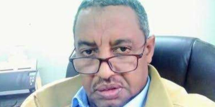صبري محمد علي يكتب: وهذا مبعوثنا الخاص لأمريكا