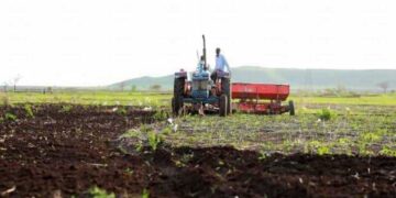 البنك الزراعي يمول 2.5 مليون فدان بالقضارف