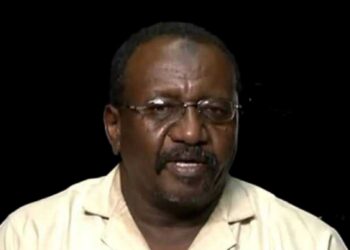 يوسف عبد المنان يكتب: هبوا لنصرتها