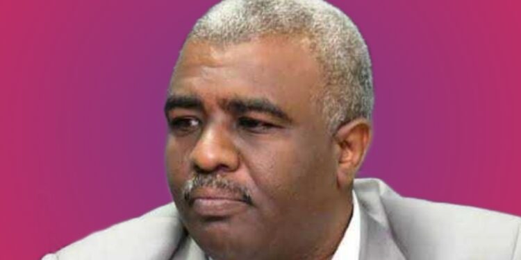 إبراهيم شقلاوي يكتب: السودان ومصر إستراتيجية المصالح وتكامل الأدوار