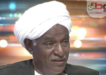 محجوب فضل بدری يكتب: ألَمْ يَأنِ لكل قرد أن يطلع جبلو ؟ !!