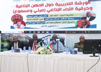 كباشي يشيد بمواقف تركيا الداعمة للسودان