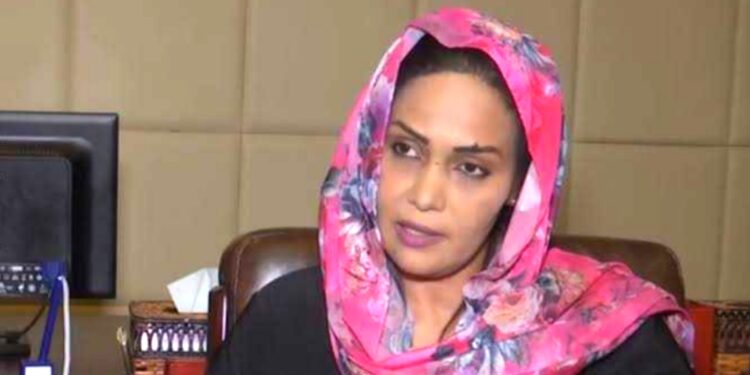 سهير عبد الرحيم تكتب : جيشنا… دُكُّوا بيتي