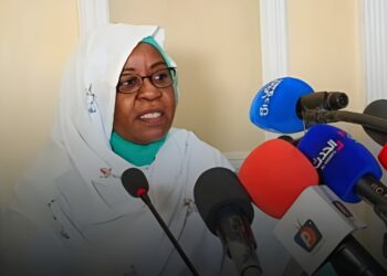 مفوض العون الانسانى في السودان: نرفض زج العمل الانسانى فى العمل السياسى