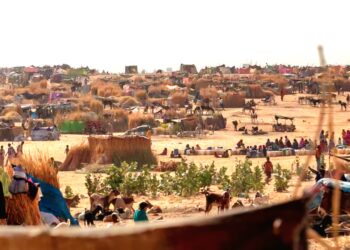 الولايات المتحدة تدين مليشيا الدعم السريع