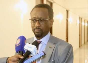 الإعيسر يتهم جهات بالسعي لزرع الفتنة وتأجيج مشاعر العداء بين السودانيين