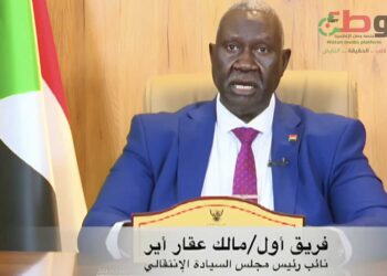 المضادات الأرضية للفرقة “19” مشاة تتصدى لمسيرات المليشيا التي استهدفت كهرباء سد مروي