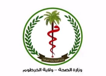 والي الجزيرة: مدينة ود مدني تعرضت لتدمير ممنهج من مليشيا الدعم السريع