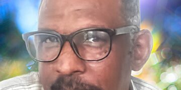 محمد وداعة .. يكتب: حكومة .. فى الخيال