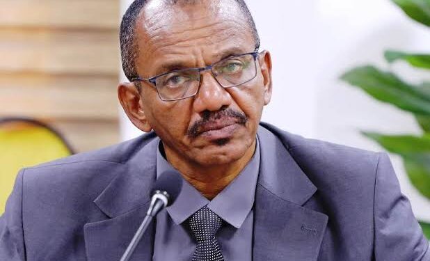 عمار العركي .. يكتب : الشراكة الشعبية بين السودان ومصر: ضرورة استراتيجية لتحويل الوعود إلى حلول ملموسة