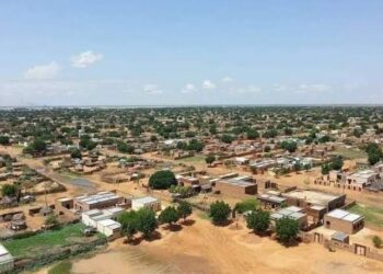 مليشيا الدعم السريع تغتال رئيس حزب الأمة بأم روابة