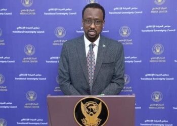 لجنة أمن الشمالية:  ما ظهر في سماء دنقلا أجسام مضيئة وليست  مسيرات