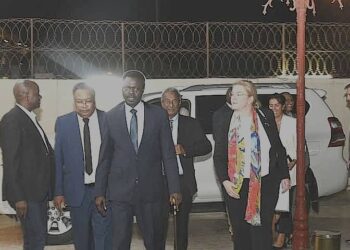 يوسف عبد المنان .. يكتب: وداعا أنصار الله