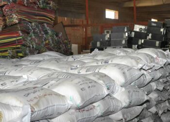 يوسف عبد المنان .. يكتب: وداعا أنصار الله