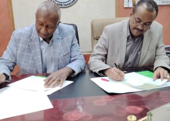 لجنة أمن الشمالية:  ما ظهر في سماء دنقلا أجسام مضيئة وليست  مسيرات