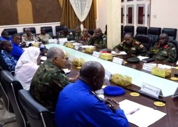 الاعيسر يبحث مع اليونسكو التعاون في استعادة وترميم الآثار السودانية