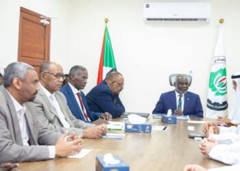 د. محمد احمد خضر يعقوب تبيدي .. يكتب: رسالة أمل واستقرار في زيارة الفريق أول ركن عبدالفتاح البرهان للقصر الجمهوري