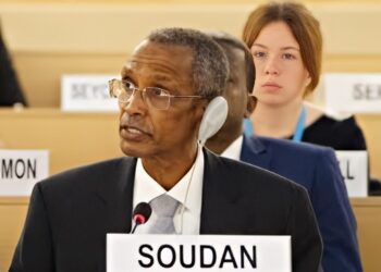 مقتل (10) متمردين وتدمير مركبتان قتاليتان والإستيلاء علي قناصتين بالفاشر