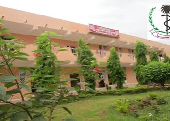 لجنة أمن الشمالية:  ما ظهر في سماء دنقلا أجسام مضيئة وليست  مسيرات