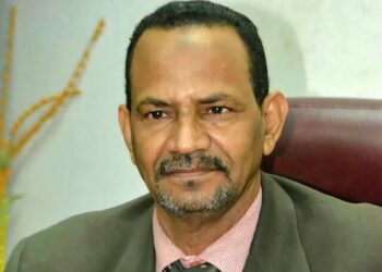 د. عبدالملك النعيم احمد.. يكتب: الجيش..من الدفاع للهجوم..