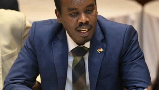 نائب رئيس تجمع قوى تحرير السودان :  ادانة مجلس الامن للمليشيا خطوة جادة فى منعها  من ارتكاب المزيد من الانتهاكات