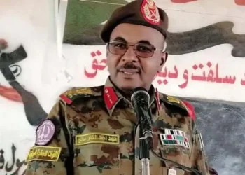 يوسف عبدالمنان… يكتب : بين الصالحة والصياد..!!