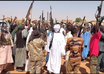 يوسف عبدالمنان… يكتب : بين الصالحة والصياد..!!