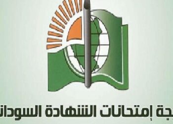 يوسف عبدالمنان… يكتب : بين الصالحة والصياد..!!