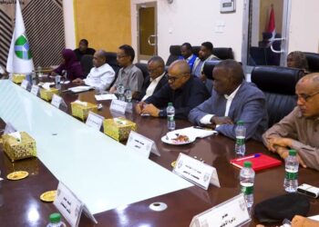 يوسف عبدالمنان… يكتب : بين الصالحة والصياد..!!