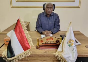 حكومة شمال دارفور تصدر بياناً حول إنتهاكات مليشيا آل دقلو بحق المدنيين بالفاشر