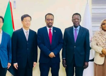 حكومة شمال دارفور تصدر بياناً حول إنتهاكات مليشيا آل دقلو بحق المدنيين بالفاشر