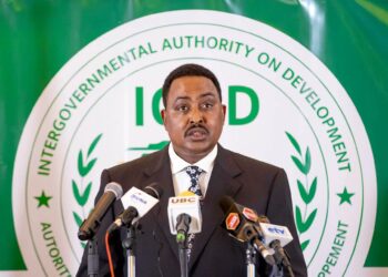 الإيغاد تدين هجمات الطائرات المسيرة على البنية التحتية المدنية