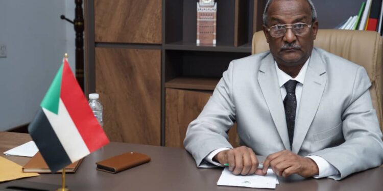 الإيغاد تدين هجمات الطائرات المسيرة على البنية التحتية المدنية