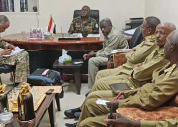 والي سنار  يوجه  بدعم المجهود الحربي