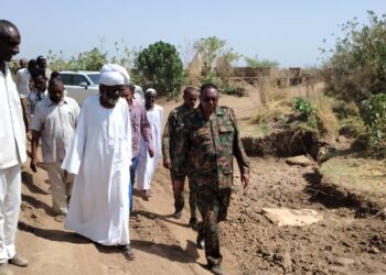 إبراهيم شقلاوي… يكتب: البرهان وترامب .. لقاء محتمل لحسم الملفات